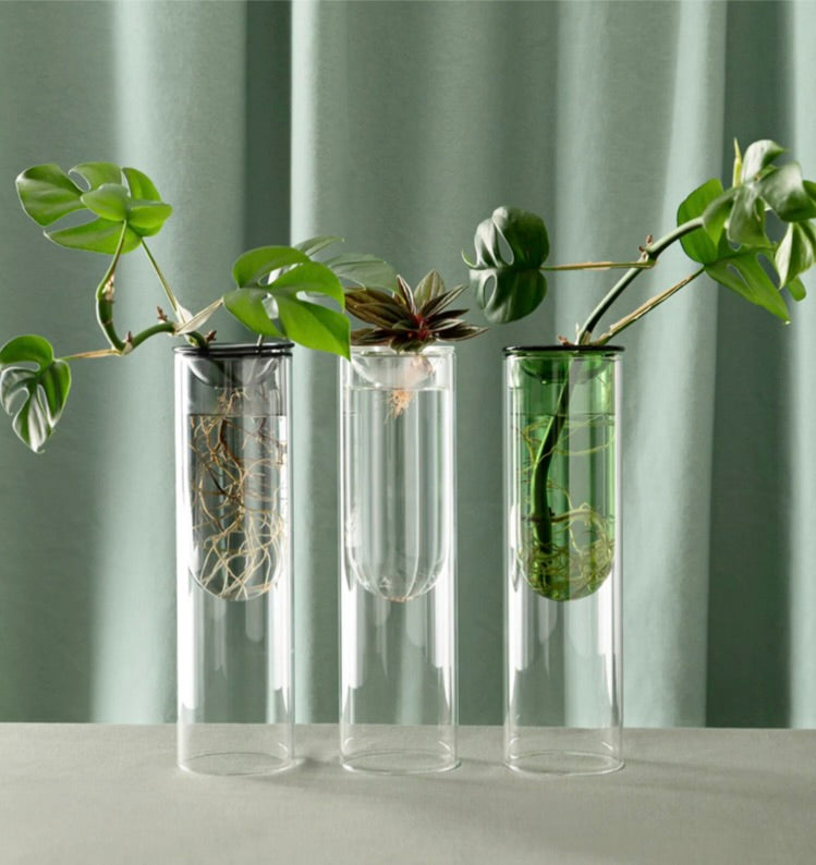 Propagation Vase by Studio Milligram